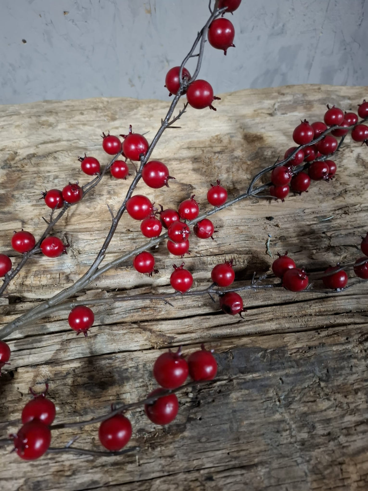 Berry Winter Red L 97cm – Brynxz