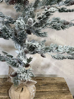 Detail besneeuwde takken met dennenappels