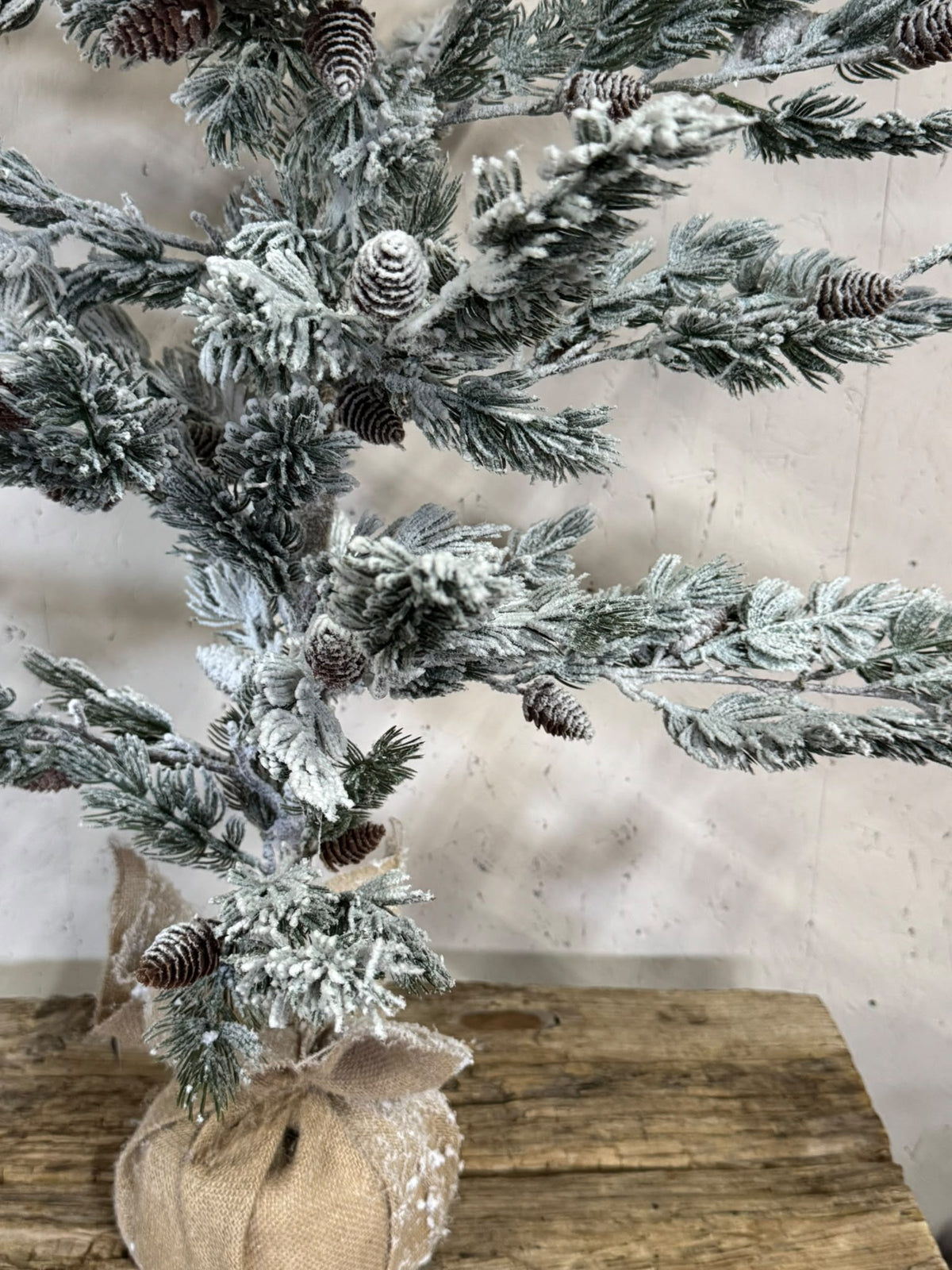 Detail besneeuwde takken met dennenappels