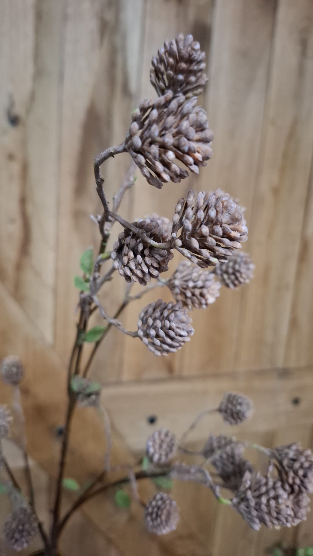 Twig with Cedercones Autumn bruin kunsttak 80 cm; exclusief vaas