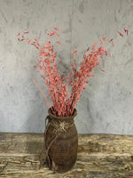 Droogbloemen Avena