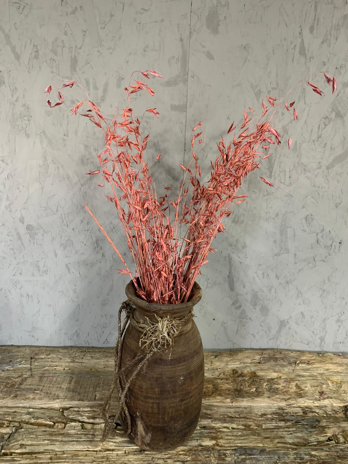 Droogbloemen Avena