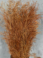 Droogbloemen Muni gras