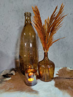 Droogbloemen Pampas bruin