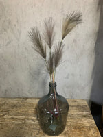 Droogbloemen pluimen