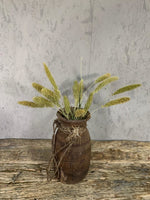 Droogbloemen Setaria