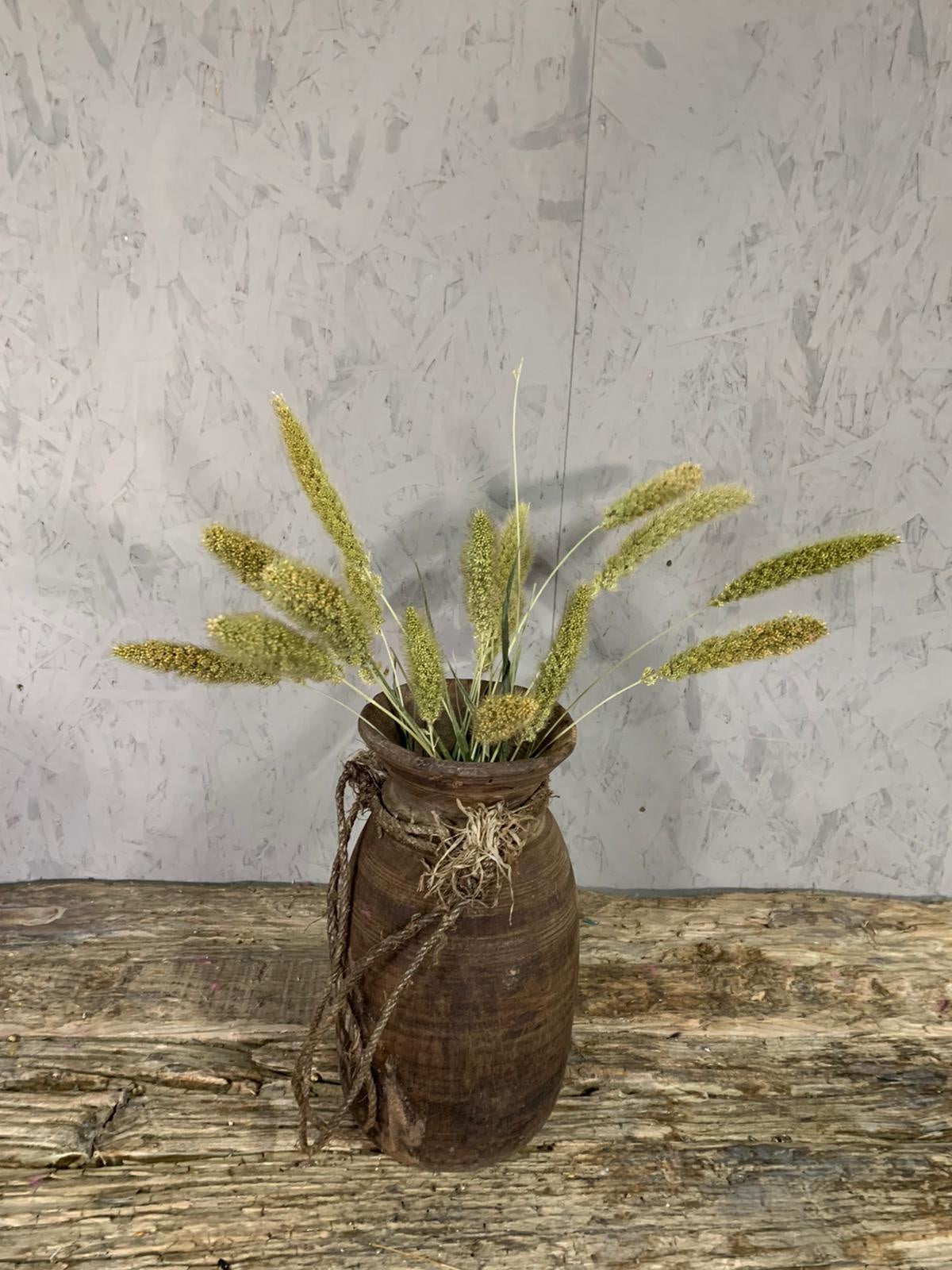 Droogbloemen Setaria