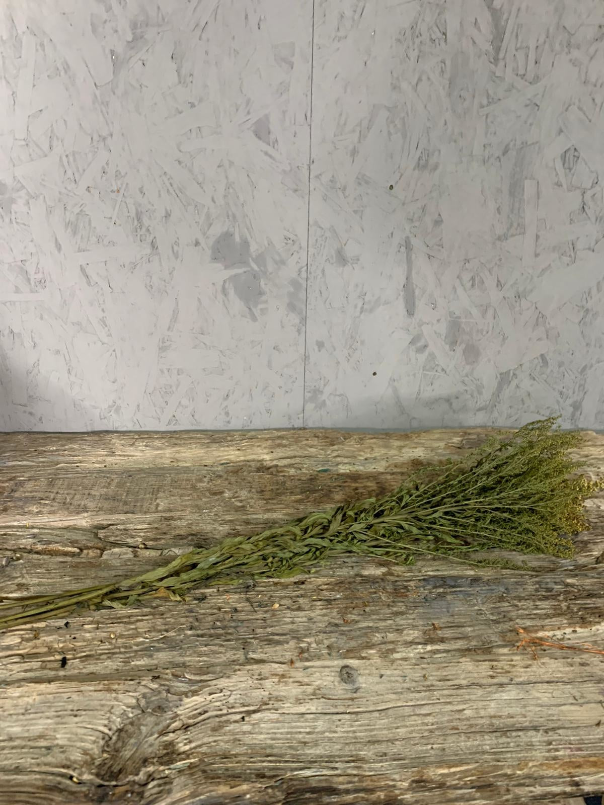 Droogbloemen Solidago