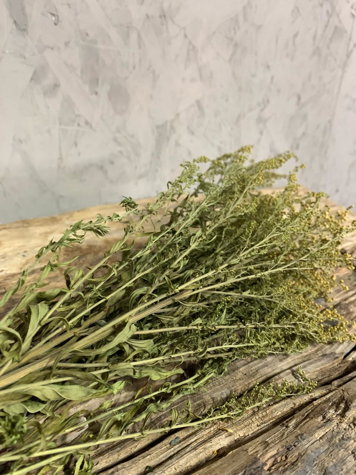 Droogbloemen Solidago