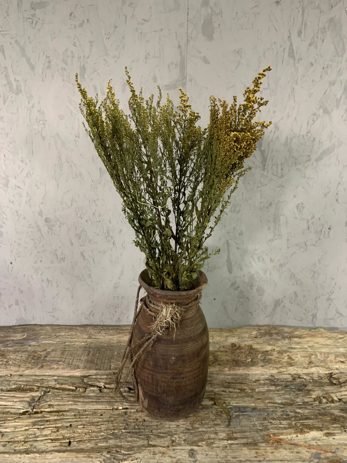 Droogbloemen Solidago