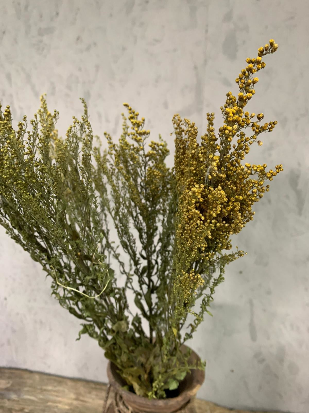 Droogbloemen Solidago