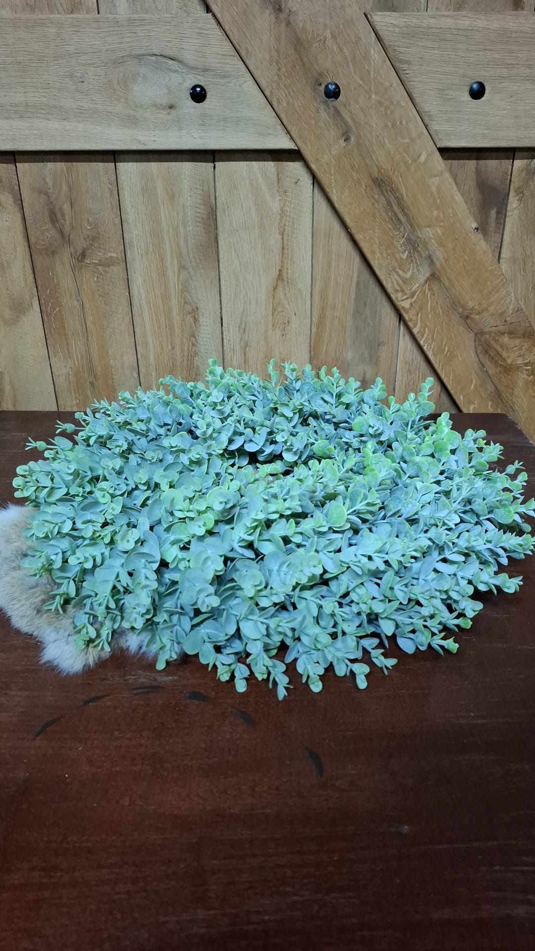 Groene decoratieve bladerkrans