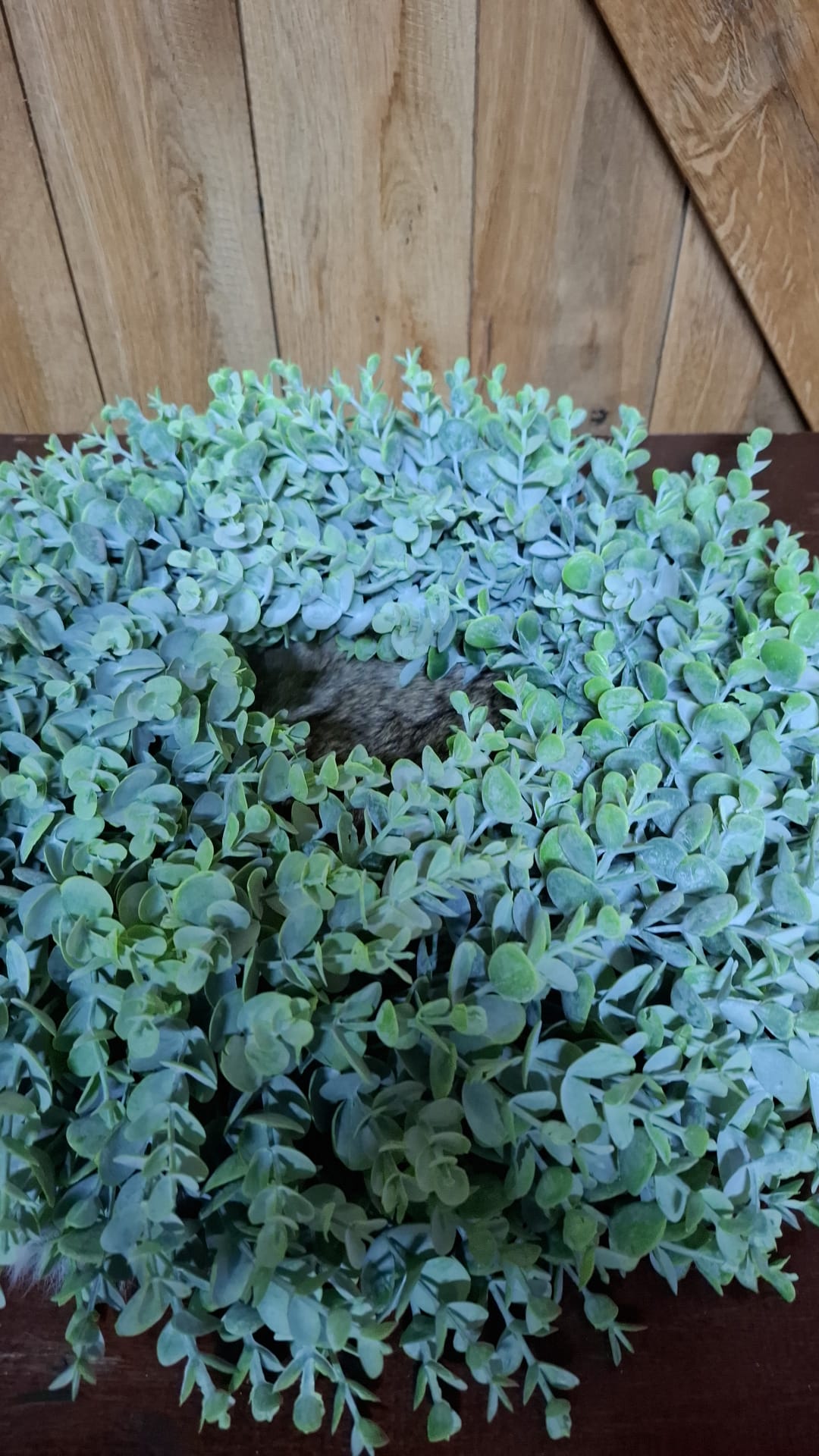 Groene decoratieve bladerkrans