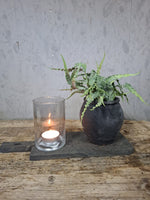 Houten Serveerplank Donker