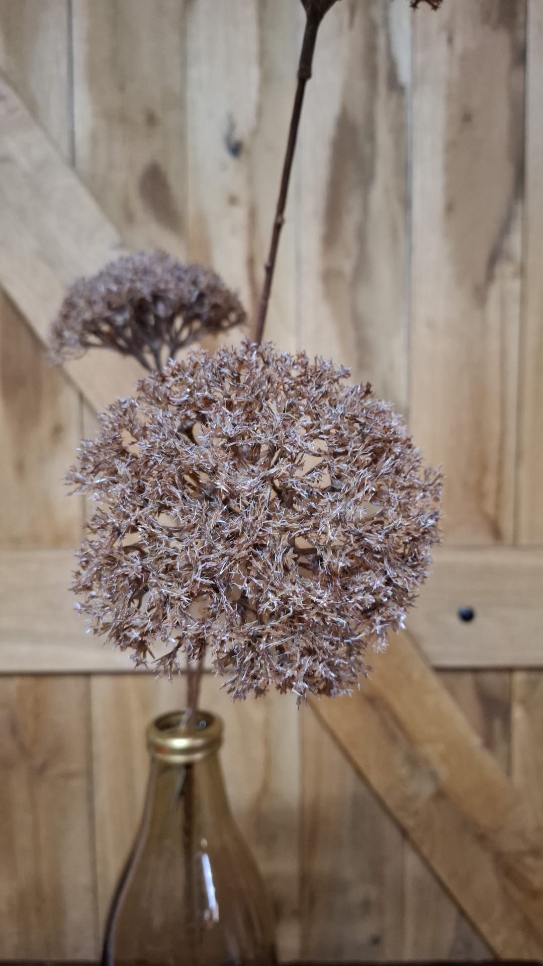 Zijden bloem Sedums Autumn Brown 90 cm; exclusief vaas