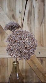 Zijden bloem Sedums Autumn Brown 90 cm; exclusief vaas
