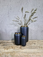 Droogbloemen Setaria platinum