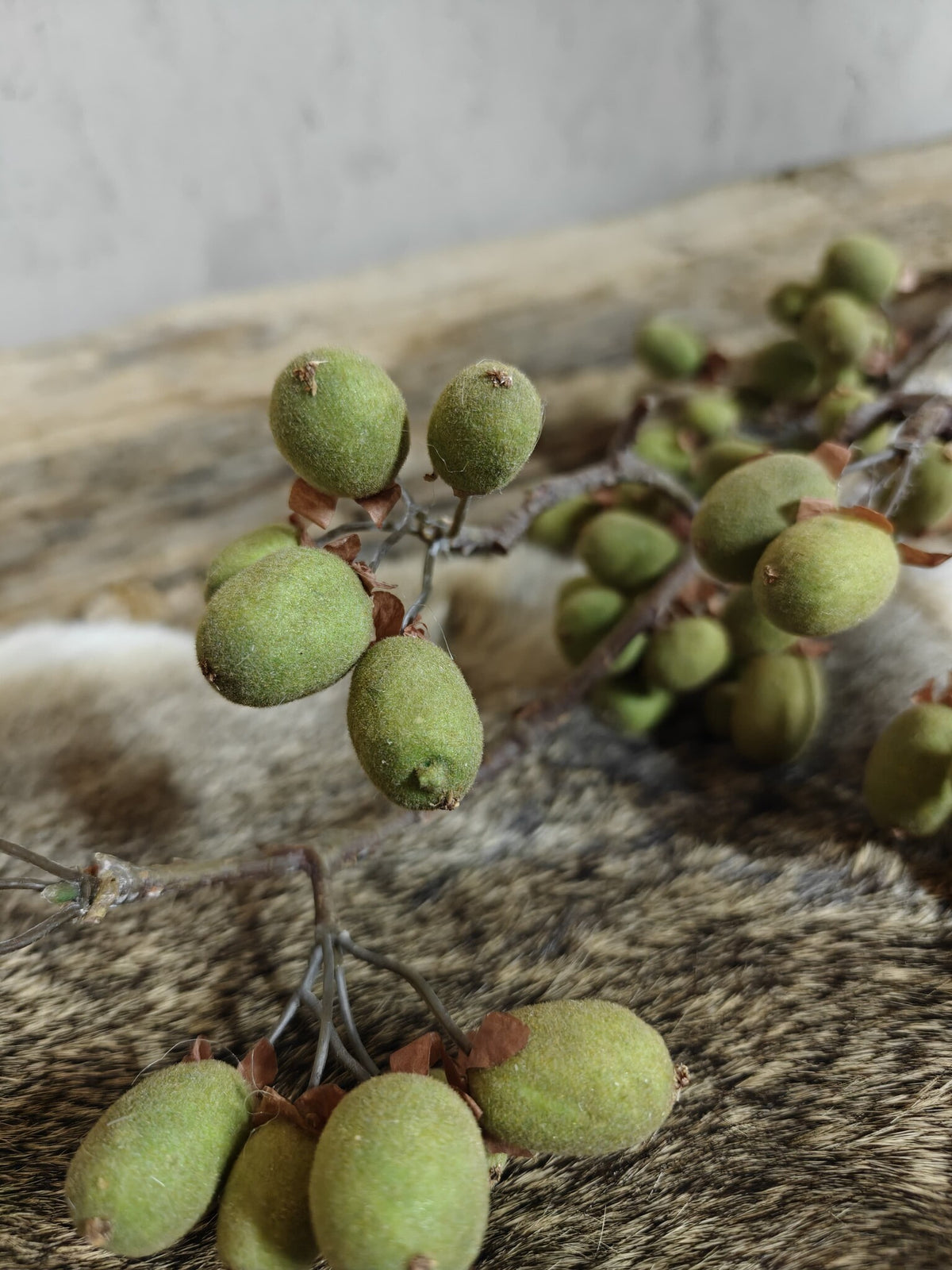Zijden bloem Alnus Grande Ant. Green 92cm - Brynxz