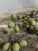 Zijden bloem Alnus Grande Ant. Green 92cm - Brynxz