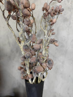 Zijden bloem Alnus Grande Brown 92cm - Brynxz
