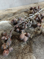 Zijden bloem Alnus Grande Brown 92cm - Brynxz