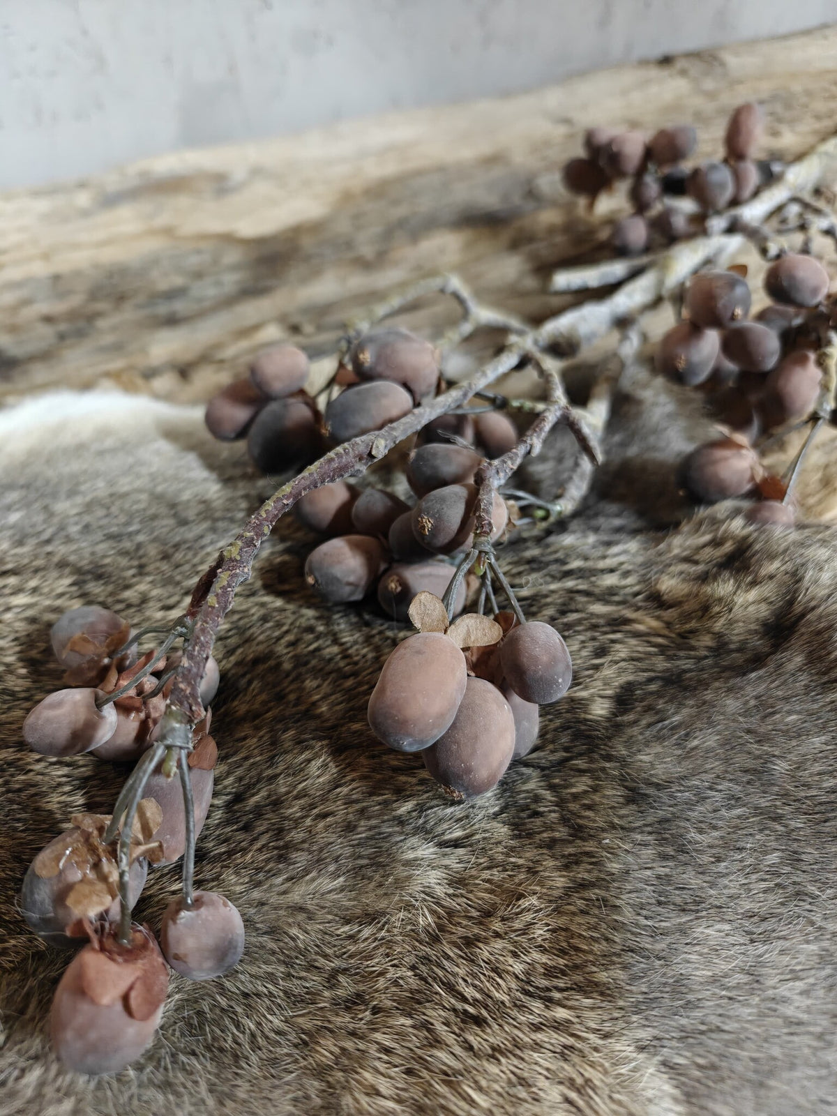 Zijden bloem Alnus Grande Brown 92cm - Brynxz