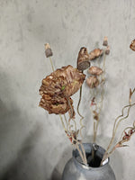 Zijden bloem Poppy Brown 100cm