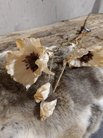 Zijden bloem Poppy Bundle Twist Off White 100cm - Brynxz
