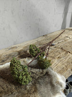 Zijden bloem Sedum Spray Green 85cm - Brynxz