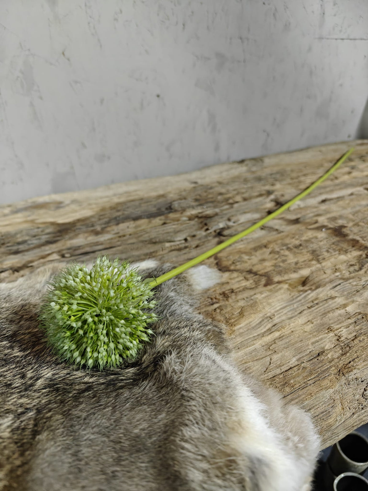 Zijden bloem Allium Spring's Perfect Green 75cm - Brynxz