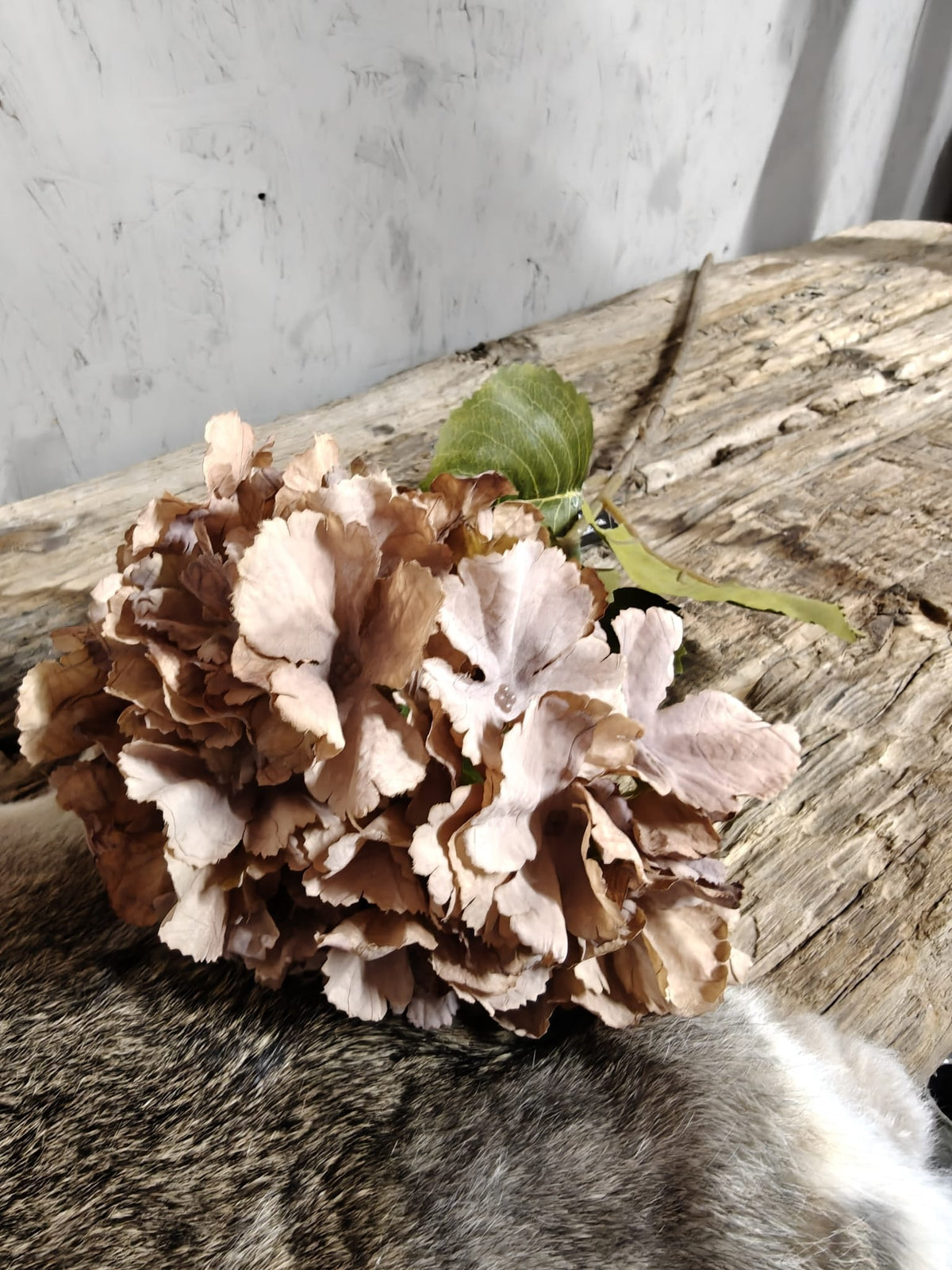 Zijden bloem Hydrangea Mauve Brown 85cm - Brynxz