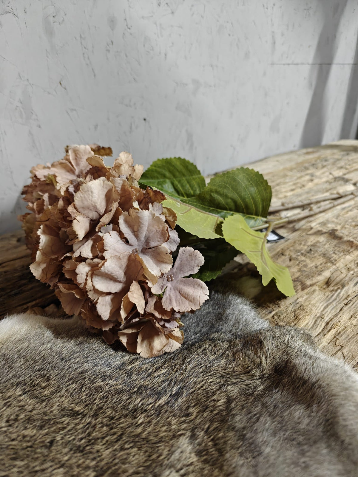 Zijden bloem Hydrangea Mauve Brown 85cm - Brynxz