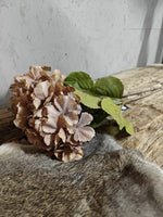 Zijden bloem Hydrangea Mauve Brown 85cm - Brynxz